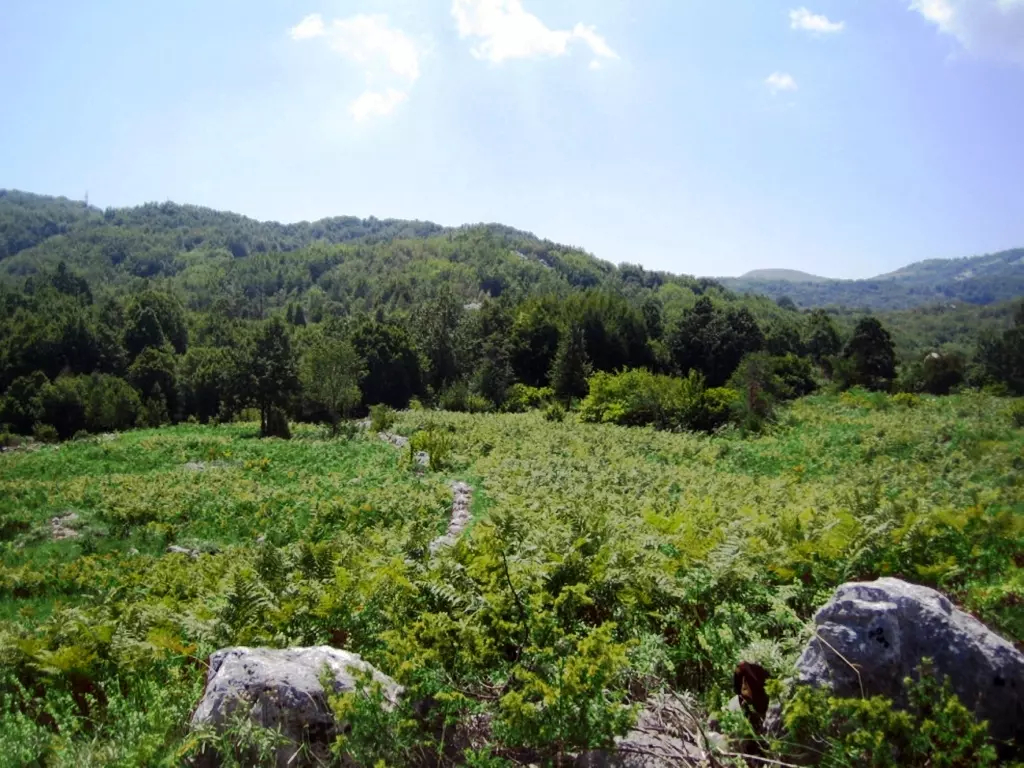 Land in Lovcen, Montenegro, 45 844 m² - picture 3