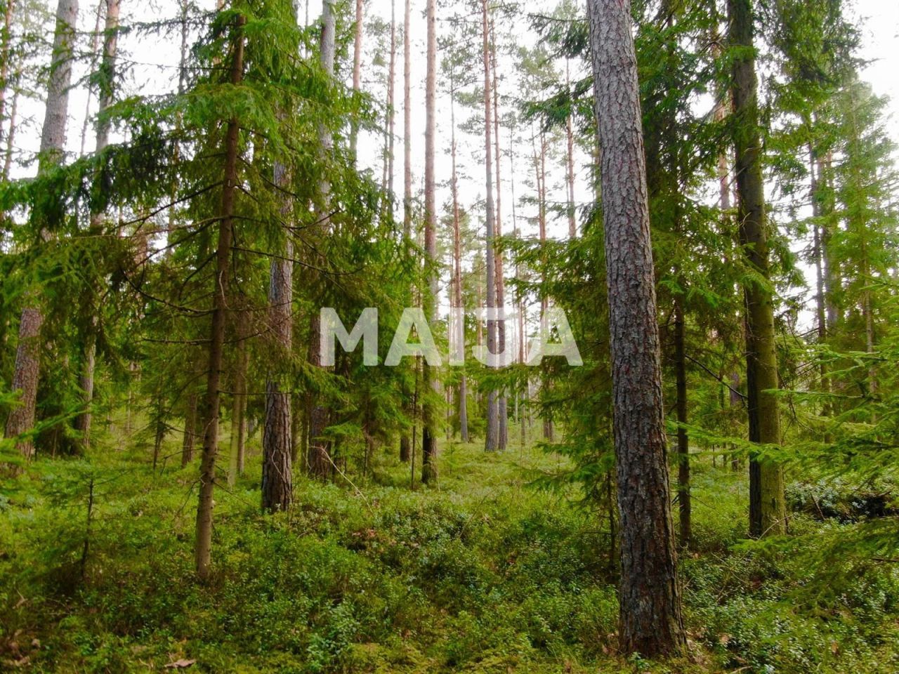 Terrain Skulte, Lettonie, 4 017 m² - image 3