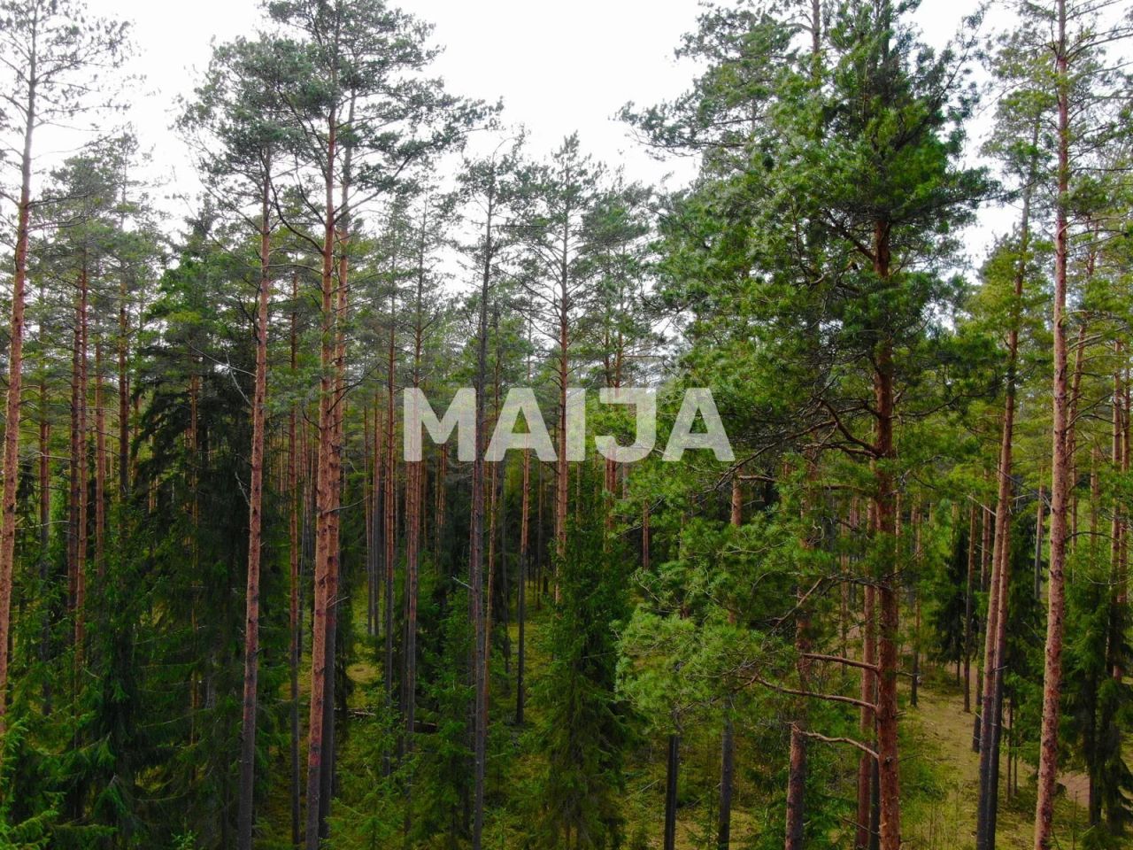 Terrain Skulte, Lettonie, 4 017 m² - image 4