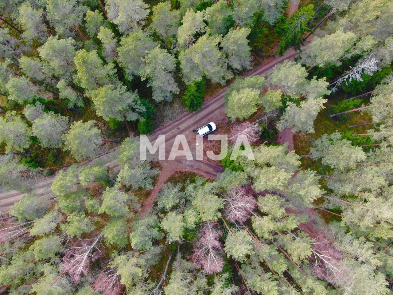 Terrain Skulte, Lettonie, 4 017 m² - image 5