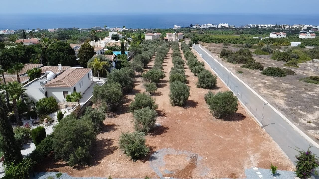 Villa in Paphos, Zypern, 762 m² - Foto 8