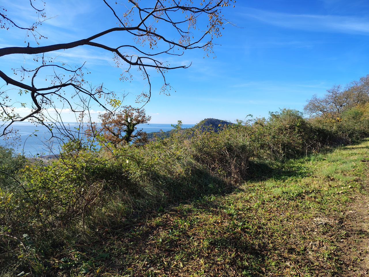 Terreno en Buljarica, Montenegro, 5 000 m² - imagen 6