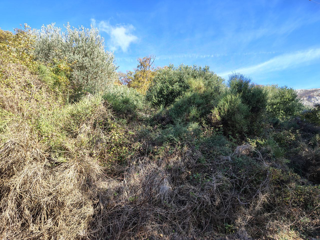 Terreno en Buljarica, Montenegro, 5 000 m² - imagen 5