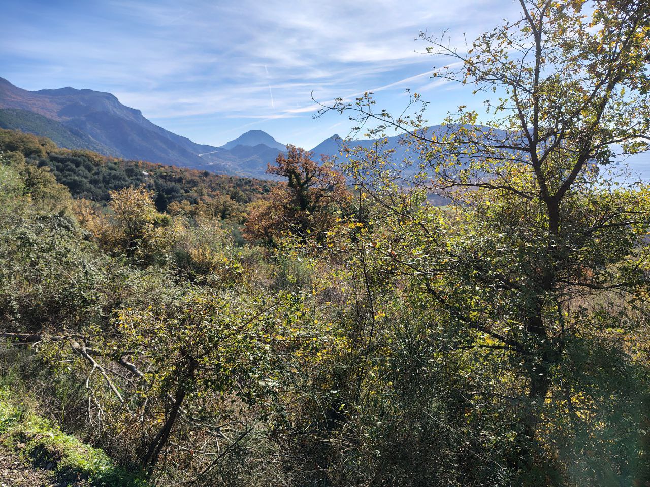 Terreno en Buljarica, Montenegro, 5 000 m² - imagen 14