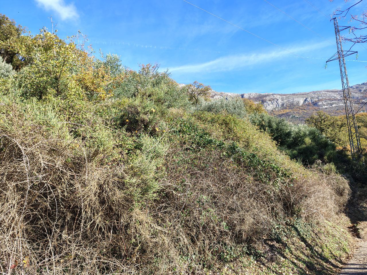 Terreno en Buljarica, Montenegro, 5 000 m² - imagen 9