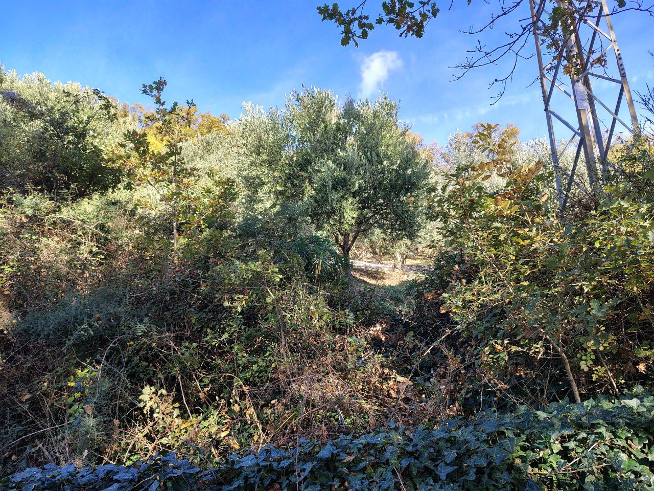 Terreno en Buljarica, Montenegro, 5 000 m² - imagen 4