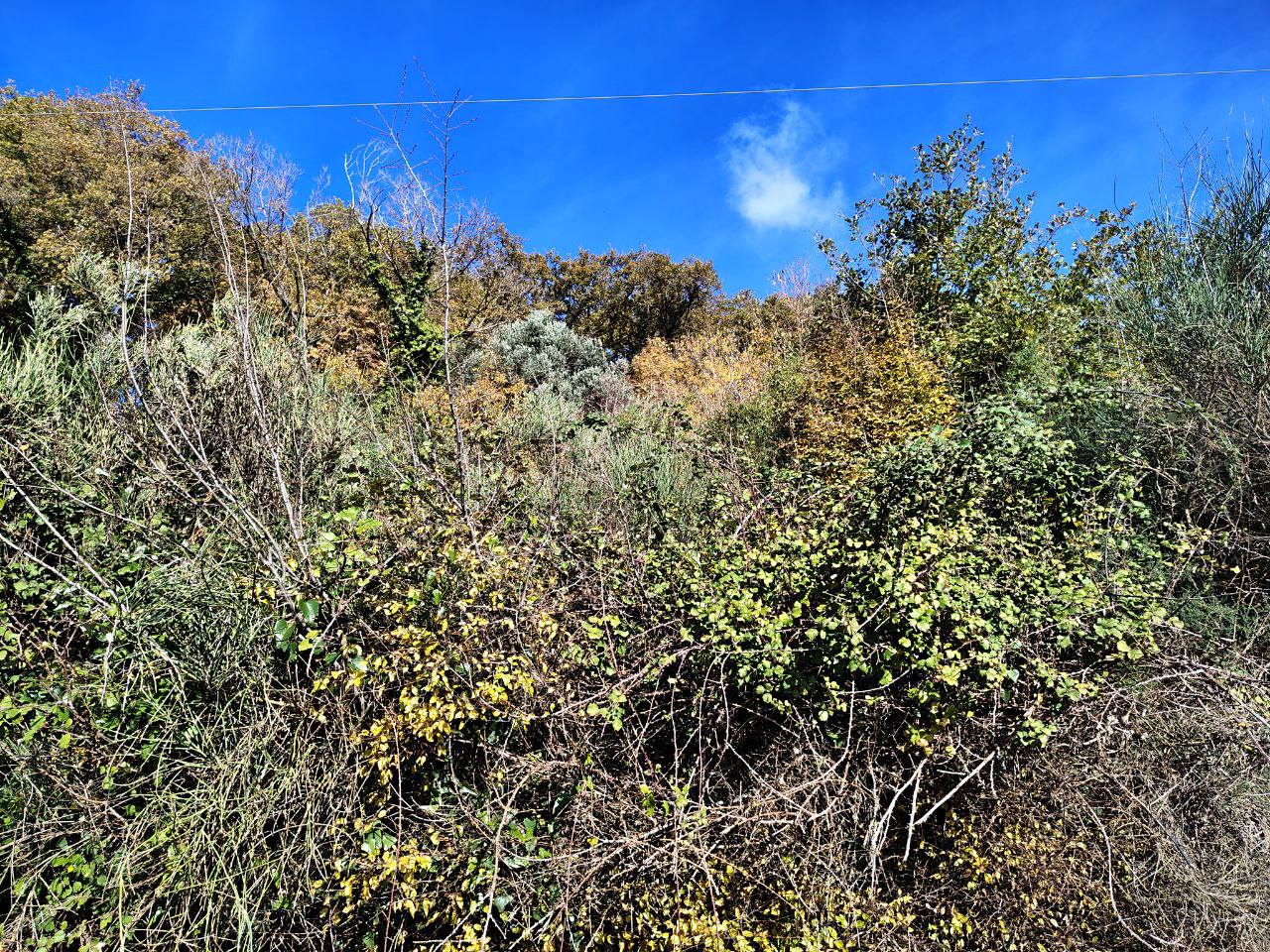 Terreno en Buljarica, Montenegro, 5 000 m² - imagen 10