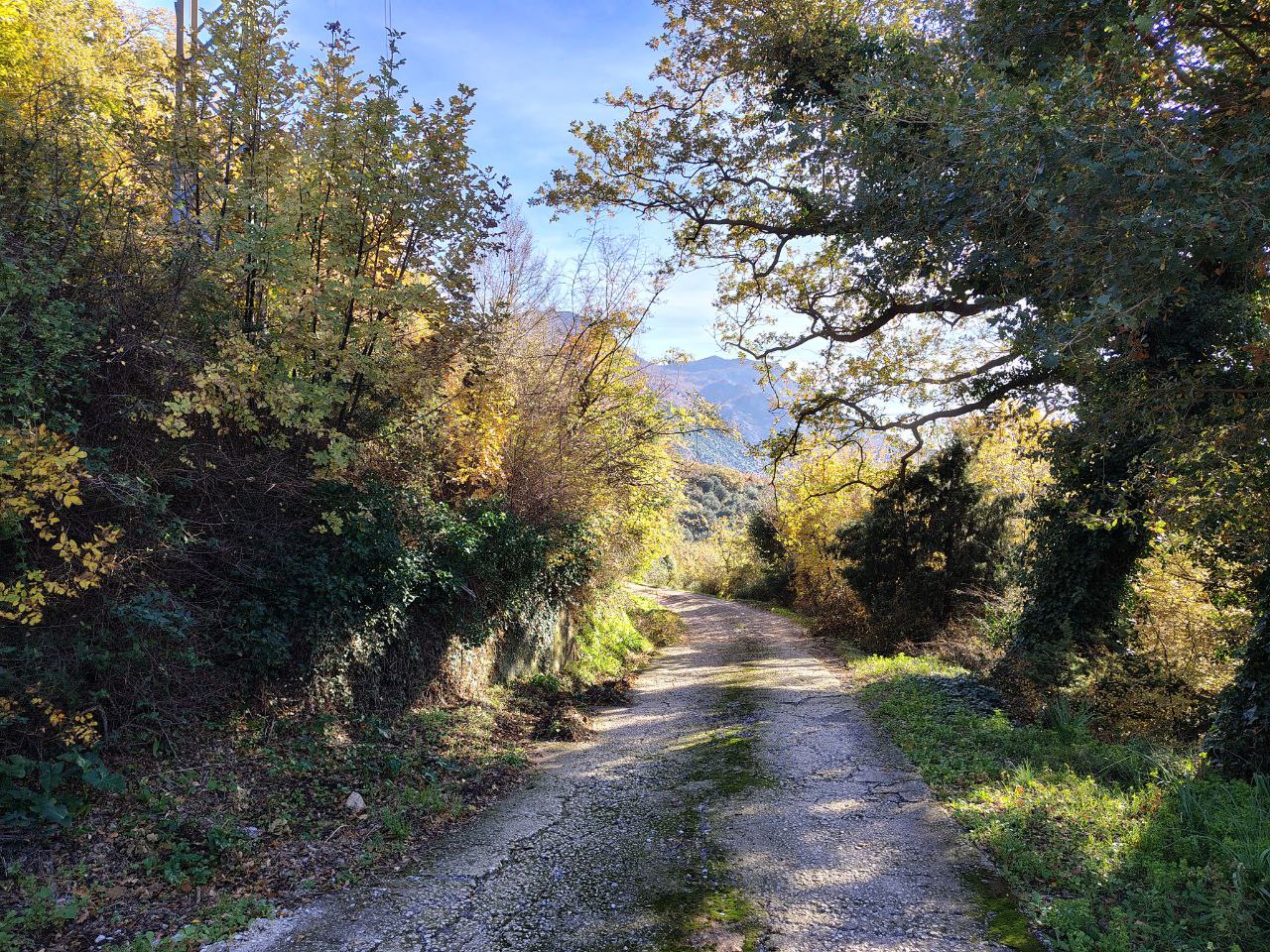 Terreno en Buljarica, Montenegro, 5 000 m² - imagen 12