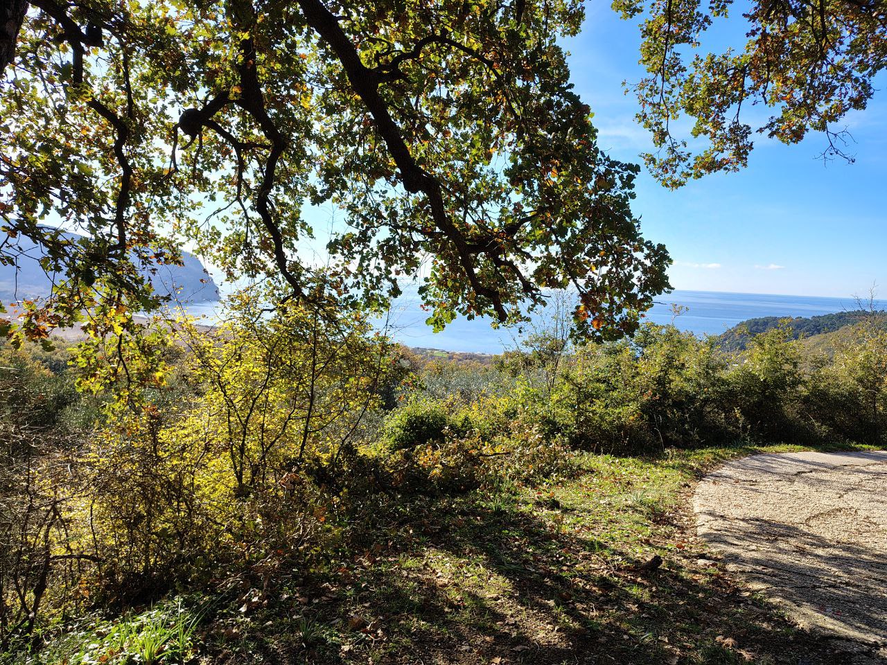 Terreno en Buljarica, Montenegro, 5 000 m² - imagen 3