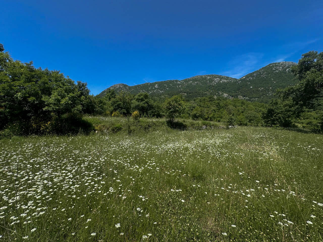 Terrain à Dobra Voda, Monténégro, 4 196 m² - image 1