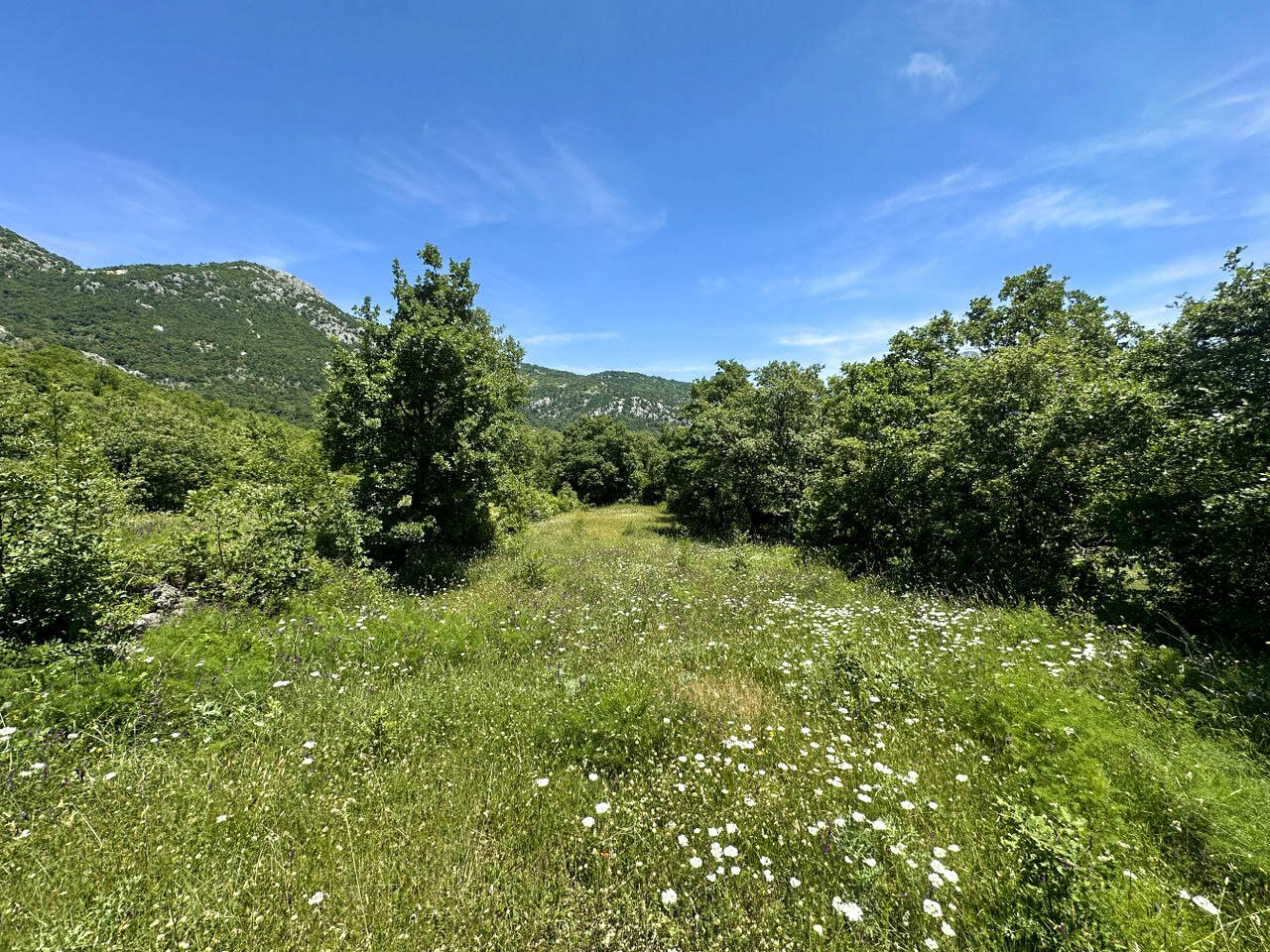 Terrain à Dobra Voda, Monténégro, 4 196 m² - image 2