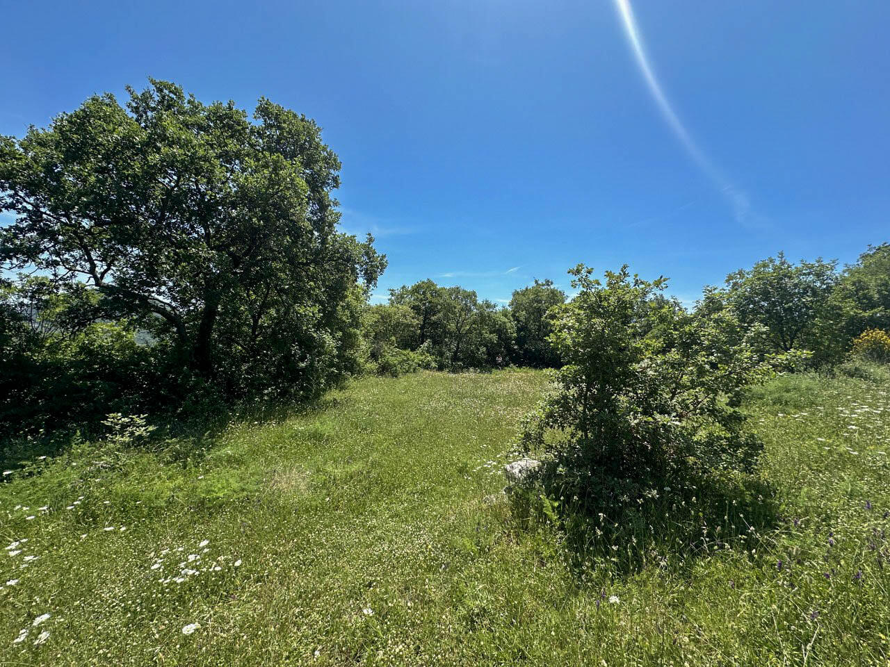 Terrain à Dobra Voda, Monténégro, 4 196 m² - image 3