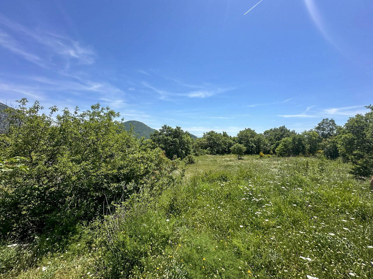 Terrain à Dobra Voda, Monténégro, 4 196 m² - image 4