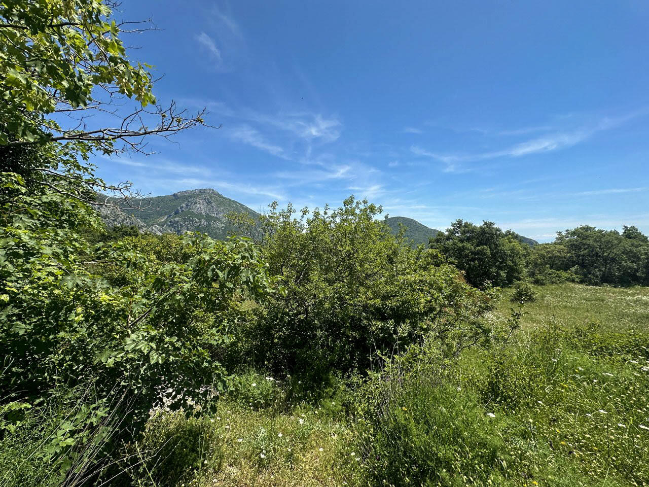 Terrain à Dobra Voda, Monténégro, 4 196 m² - image 5