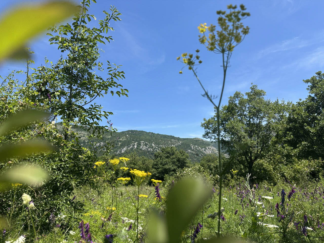 Terrain à Dobra Voda, Monténégro, 4 196 m² - image 6