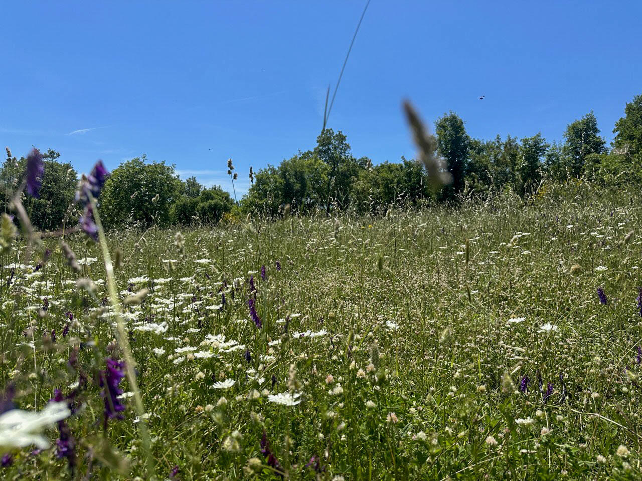 Terrain à Dobra Voda, Monténégro, 4 196 m² - image 7