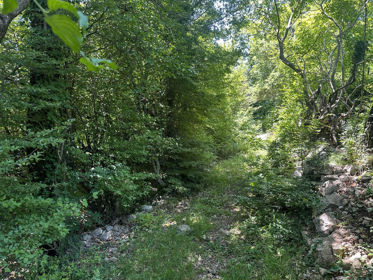 Terrain à Dobra Voda, Monténégro, 4 196 m² - image 8