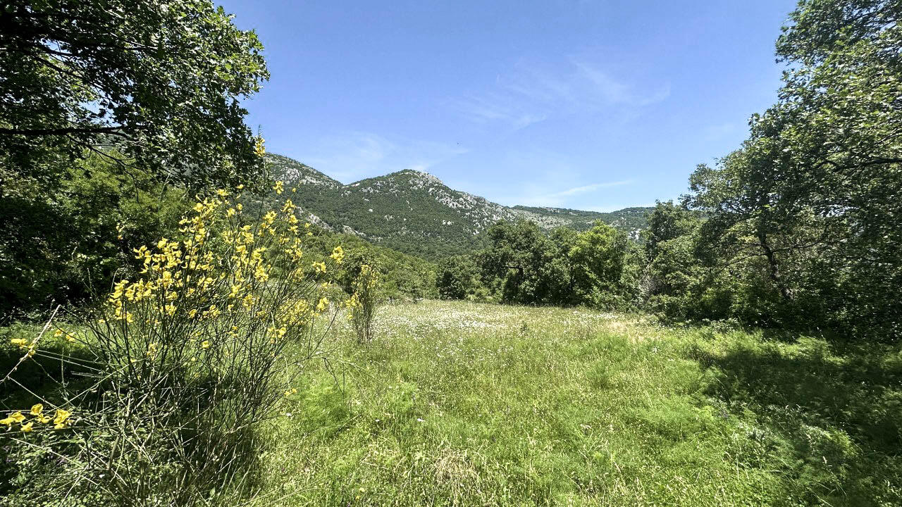 Terrain à Dobra Voda, Monténégro, 4 196 m² - image 10