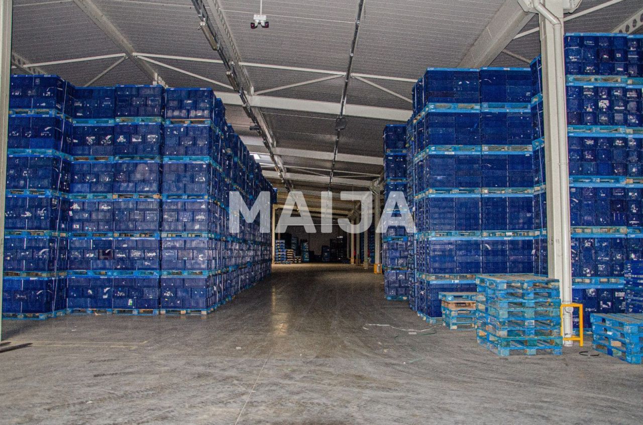 Office Craiova, Romania, 18 432 m² - picture 3