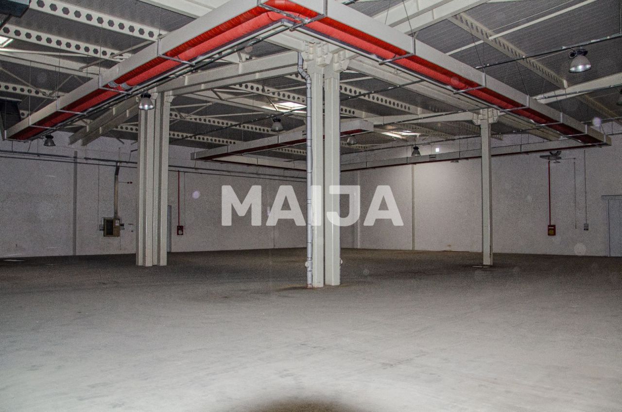 Office Craiova, Romania, 18 432 m² - picture 4