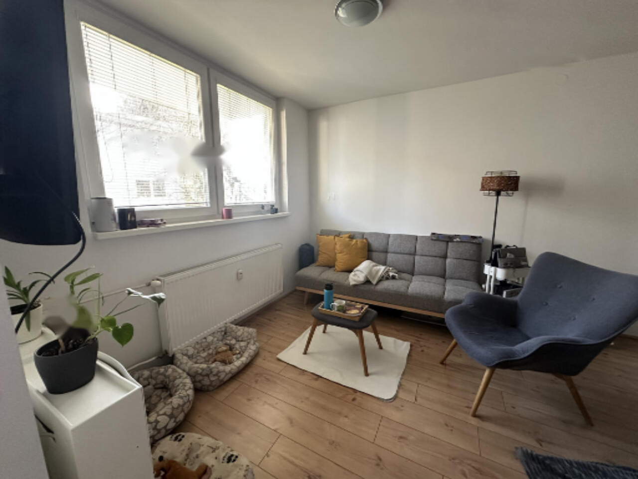 Flat in Ljubljana, Slovenia, 41 m² - picture 1
