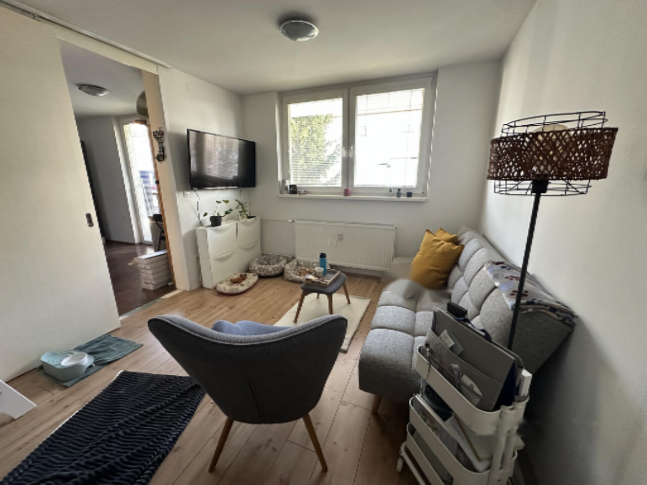 Flat in Ljubljana, Slovenia, 41 m² - picture 3