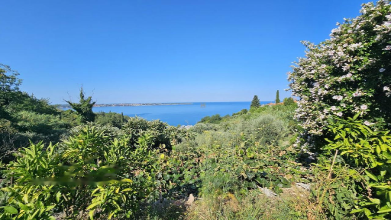 Maison à Piran, Slovénie, 275 m² - image 3