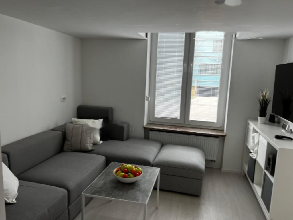 Flat in Ljubljana, Slovenia, 40 m² - picture 5