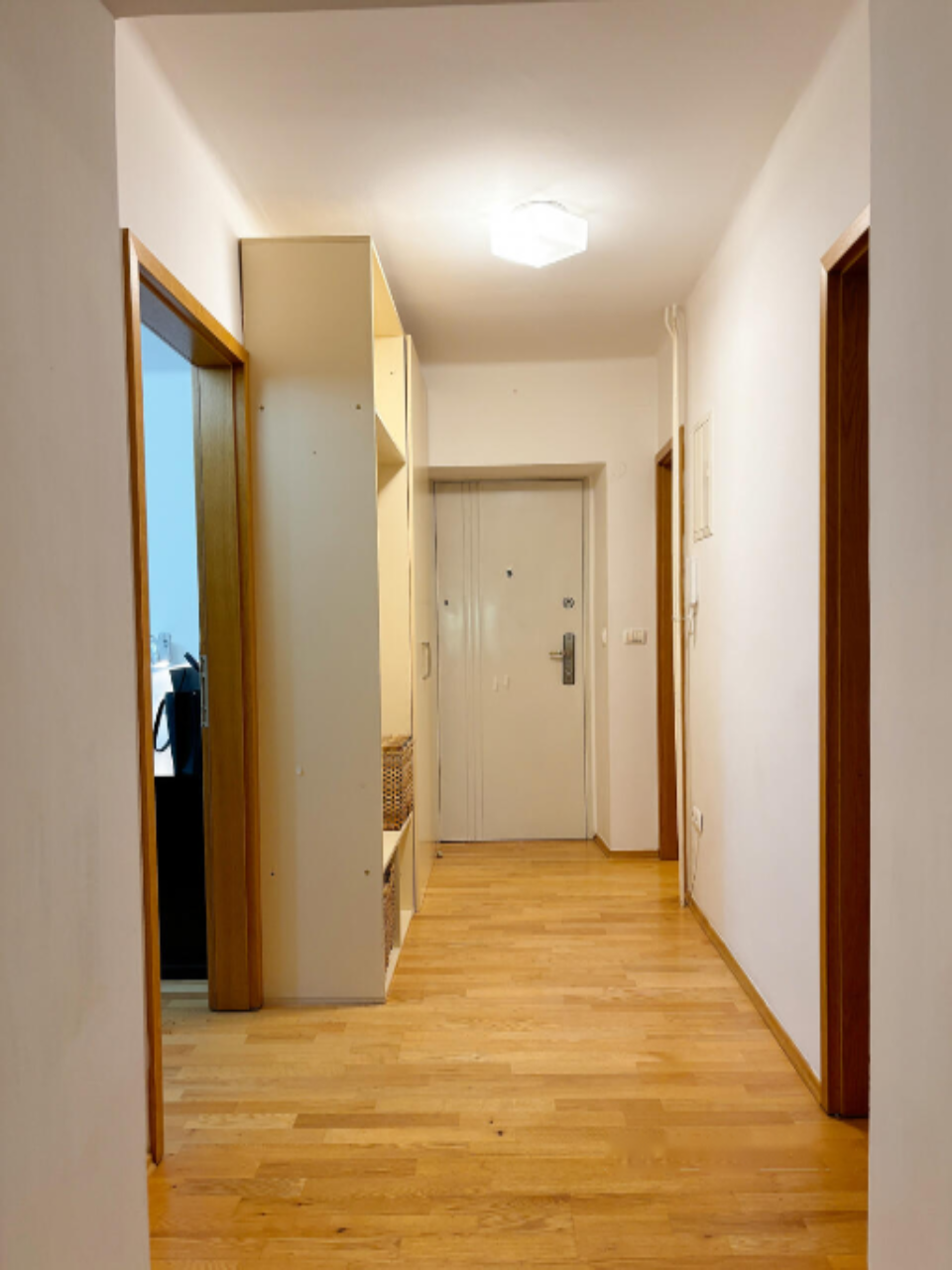 Flat in Ljubljana, Slovenia, 71 m² - picture 8