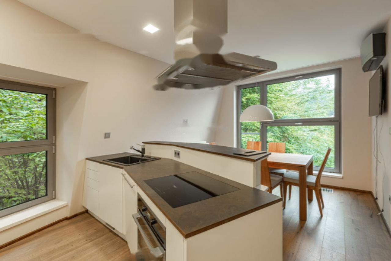 Flat in Ljubljana, Slovenia, 184 m² - picture 9