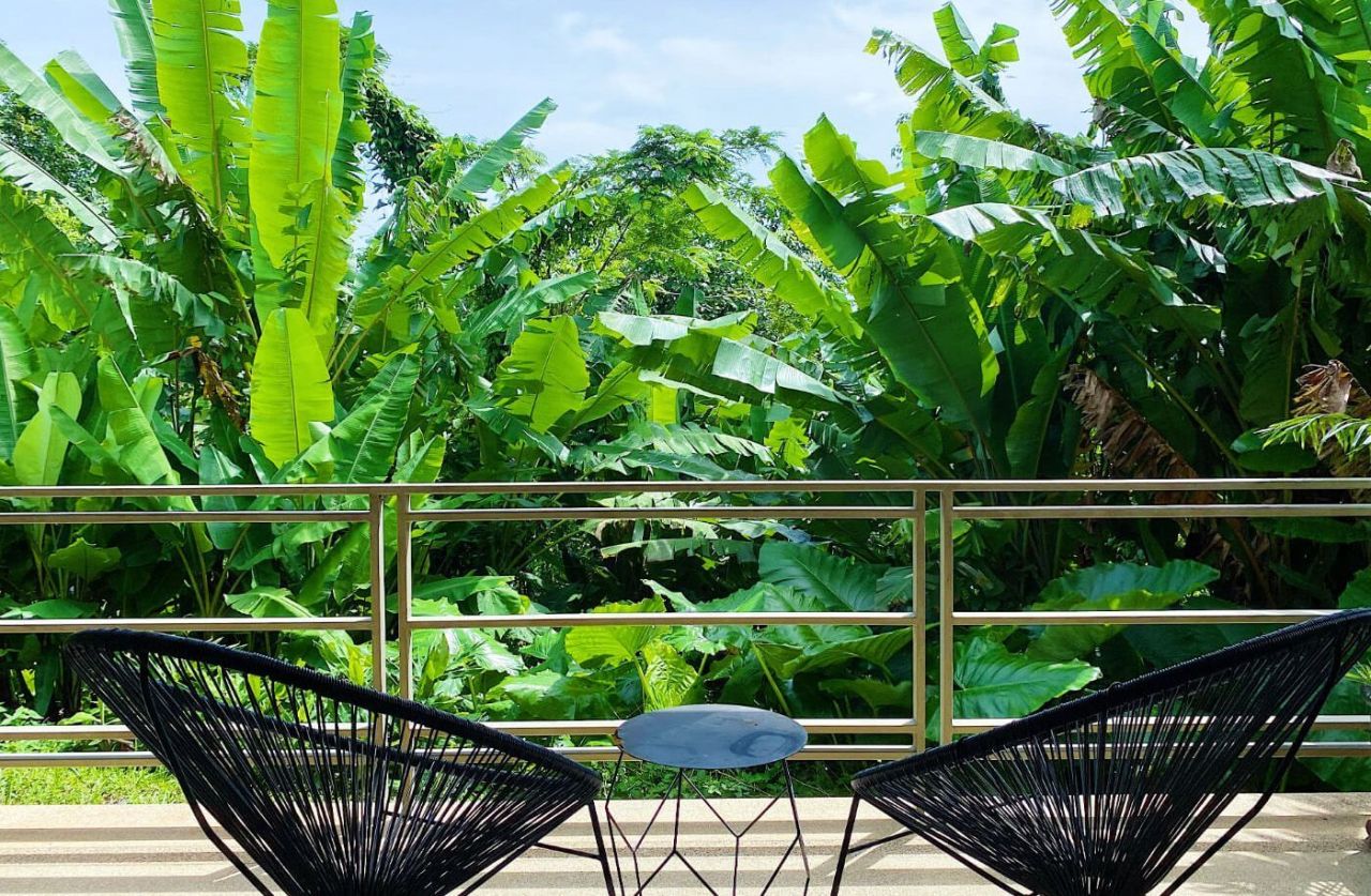 Villa in Phuket, Thailand, 350 m² - picture 11