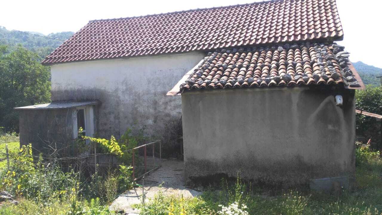 Terrain à Cetinje, Monténégro, 117 000 m² - image 4