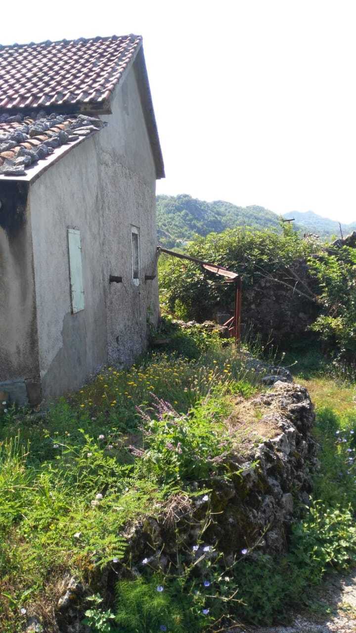 Terrain à Cetinje, Monténégro, 117 000 m² - image 11