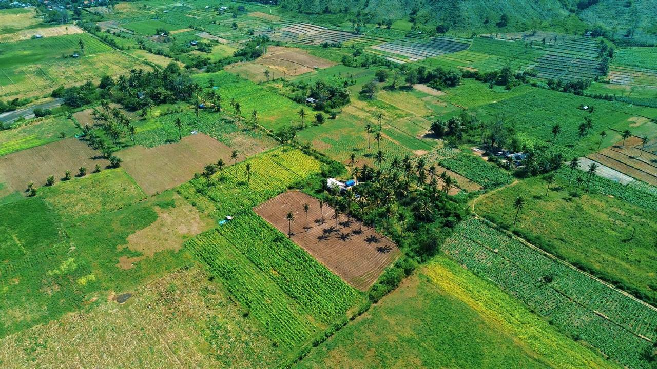 Grundstück in Nusa Lembongan, Indonesien, 19 500 ar - Foto 5