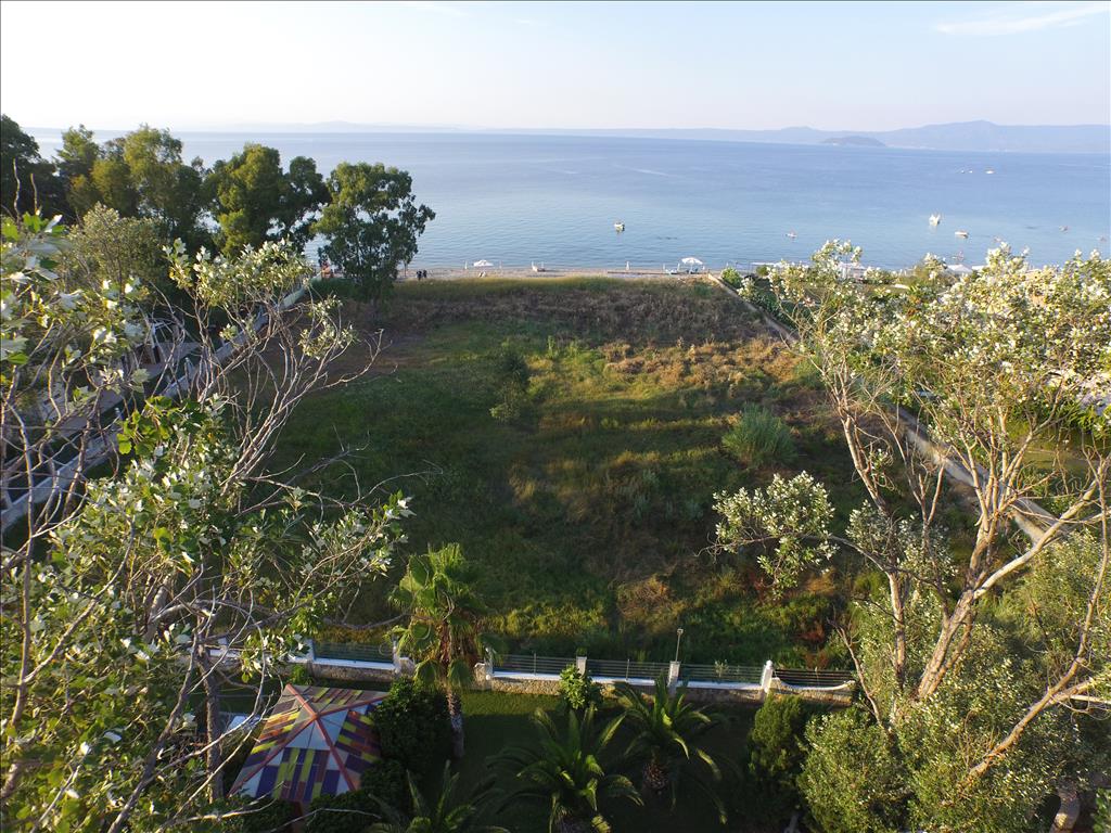 Terreno en Kassandra, Grecia, 4 800 m² - imagen 4