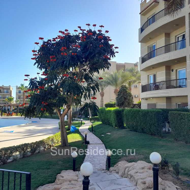 Wohnung in Scharm el-Scheich, Ägypten, 66 m² - Foto 4