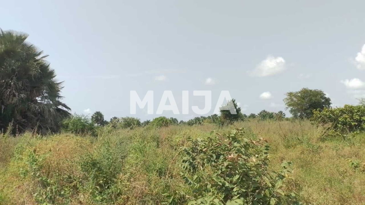 Land Sanyang, Gambia, 2 100 m² - picture 1