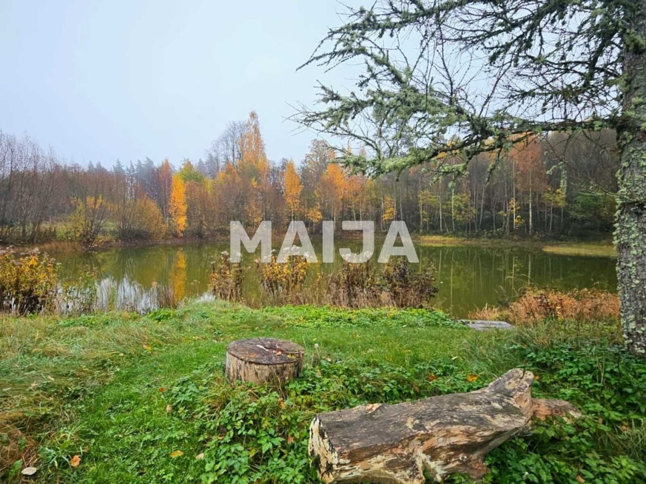 Haus Edole, Lettland, 484 m² - Foto 2