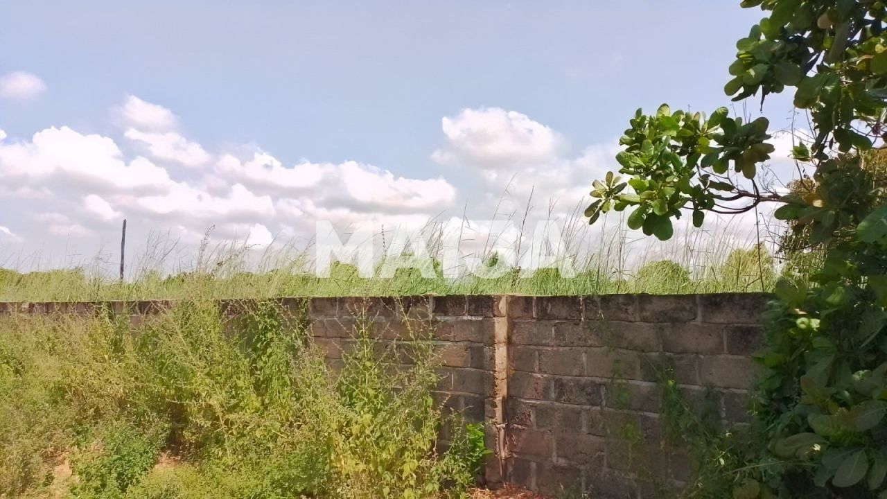 Land Tujereng, Gambia, 1 400 m² - picture 4