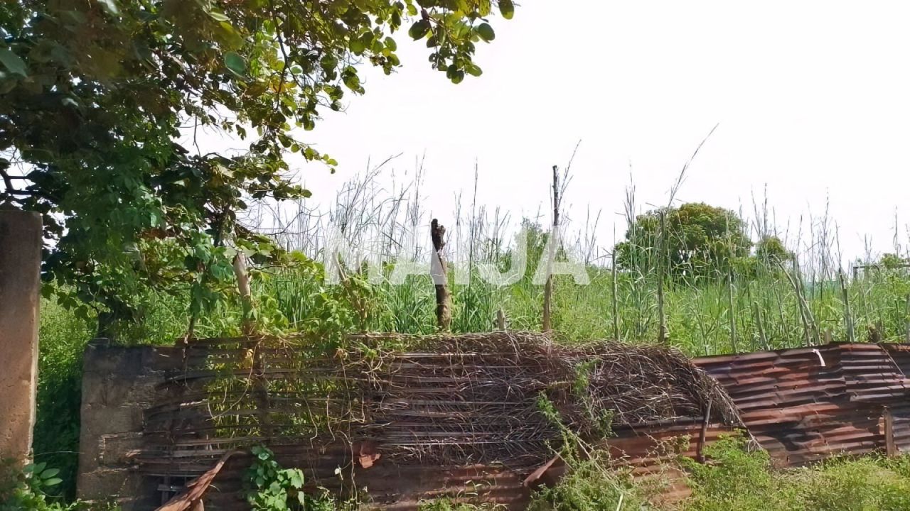 Land Tujereng, Gambia, 1 400 m² - picture 5