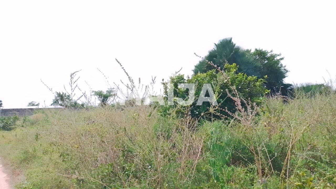 Land Sanyang, Gambia, 2 100 m² - picture 9