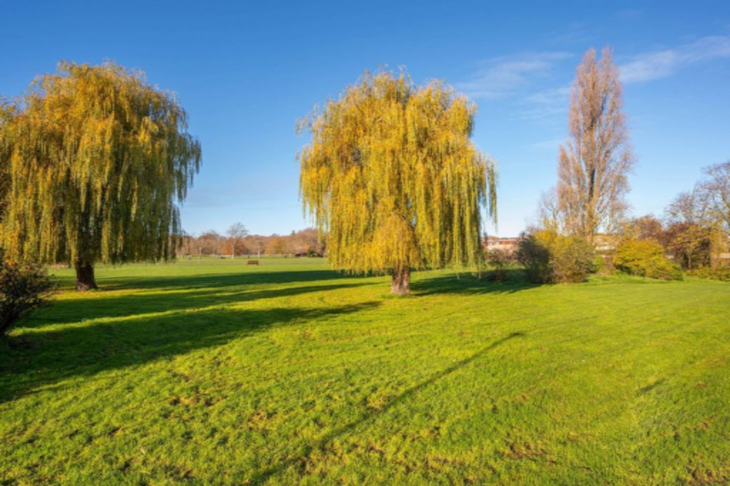 Appartement à Londres, Royaume-Uni, 50 m² - image 2
