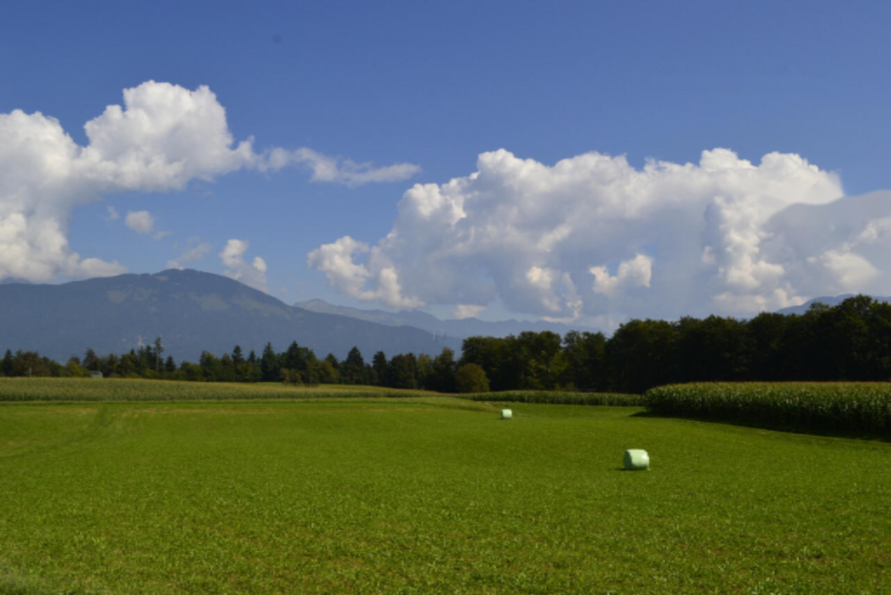 Terreno en Medvode, Eslovenia, 87 555 m² - imagen 4