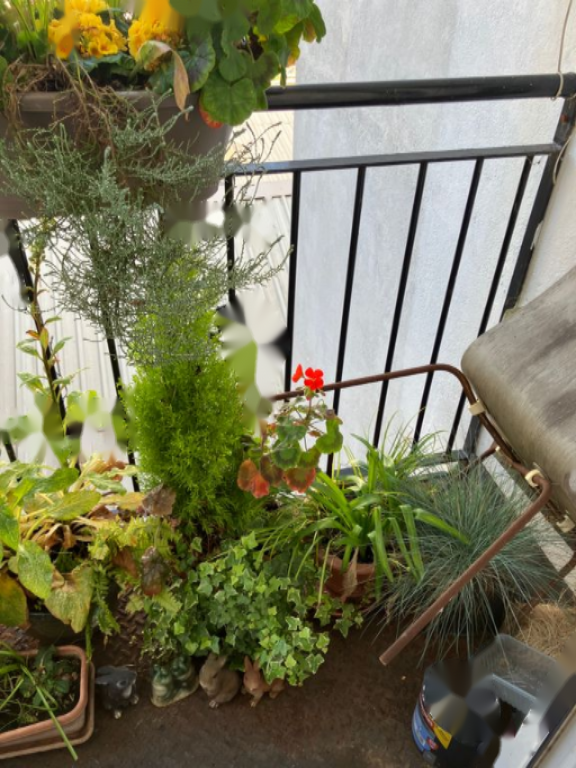 Appartement à Londres, Royaume-Uni, 42 m² - image 4