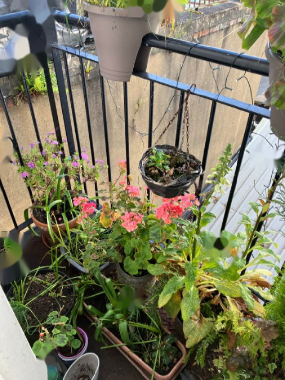 Appartement à Londres, Royaume-Uni, 42 m² - image 5