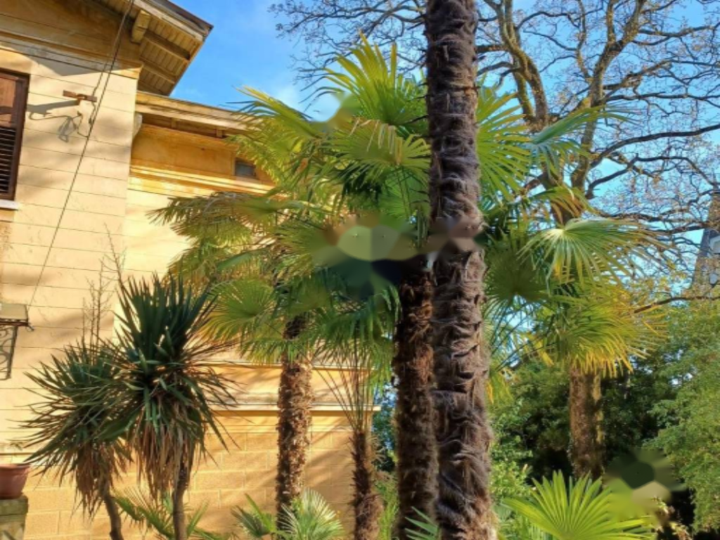 Wohnung in Opatija, Kroatien, 294 m² - Foto 6