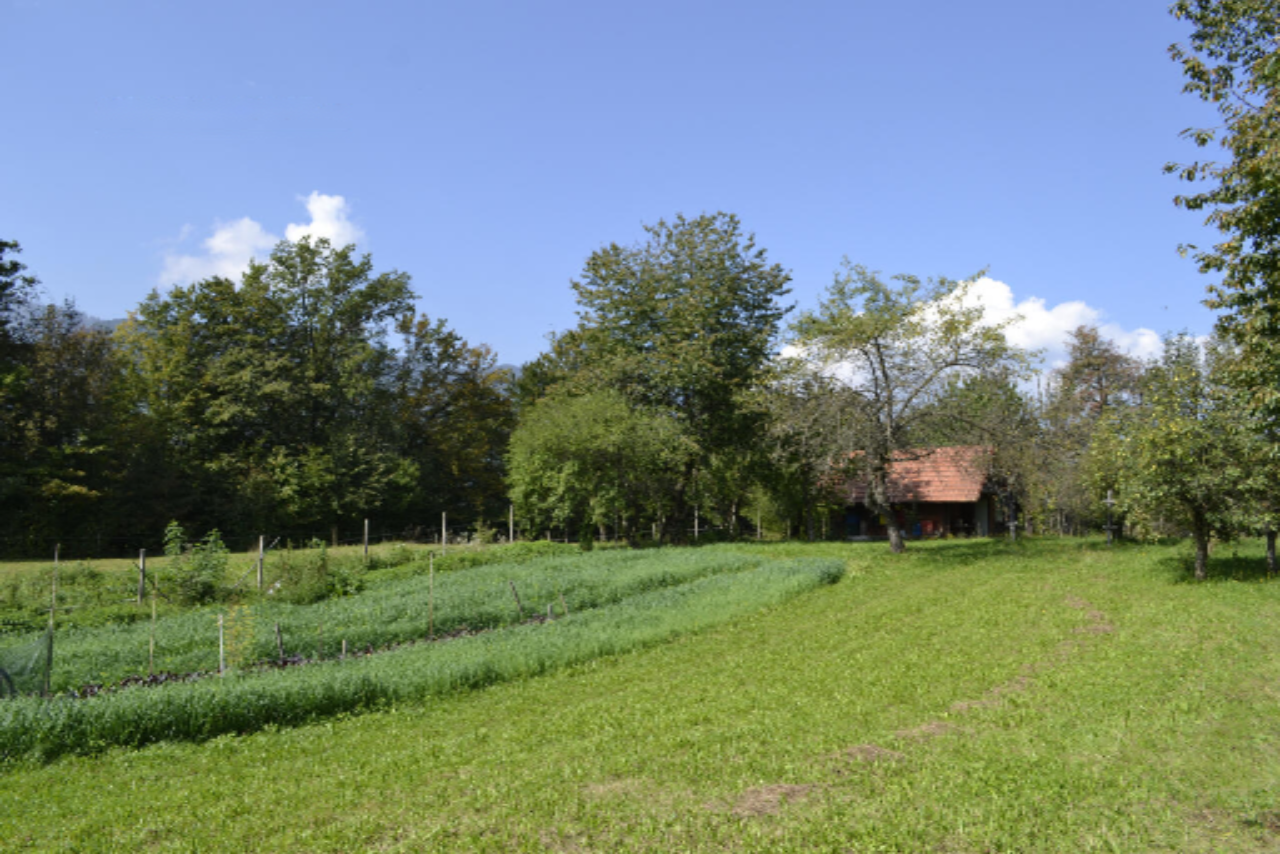 Terreno en Medvode, Eslovenia, 87 555 m² - imagen 6