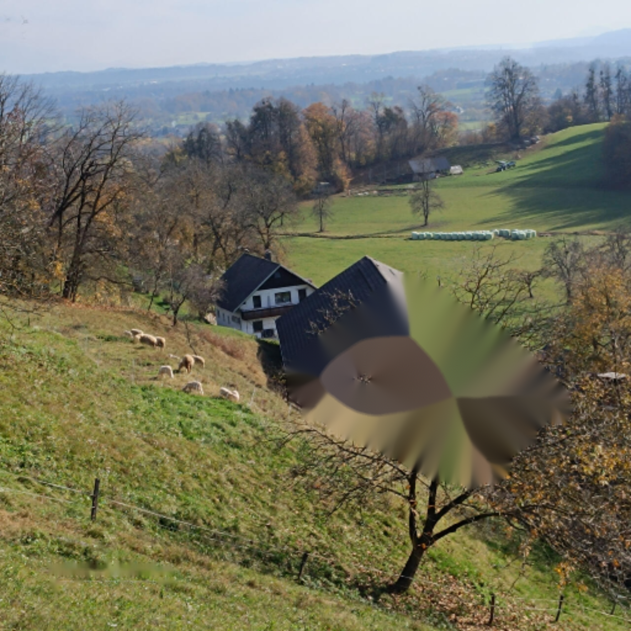 Grundstück in Bled, Slowenien, 668 m² - Foto 6