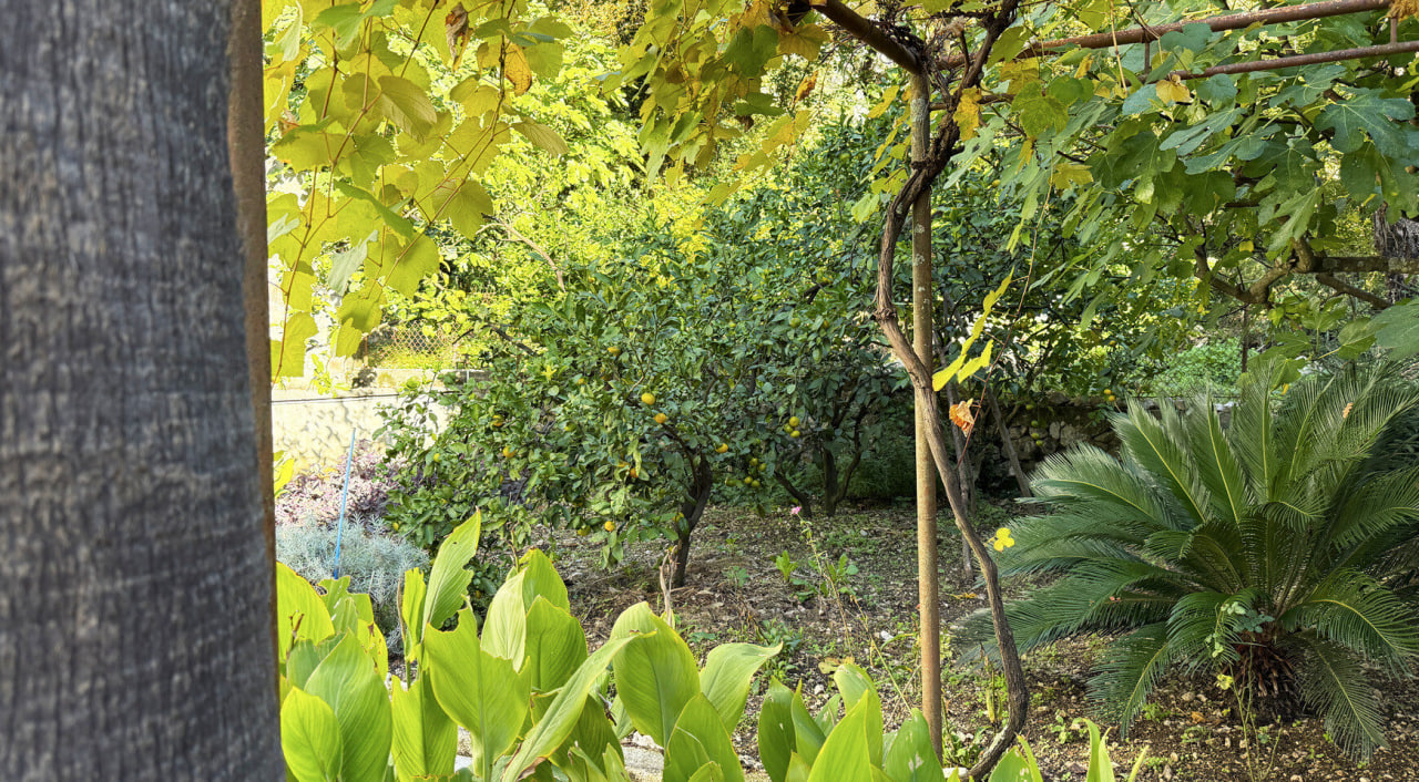 House in Orahovac, Montenegro, 115 m² - picture 18