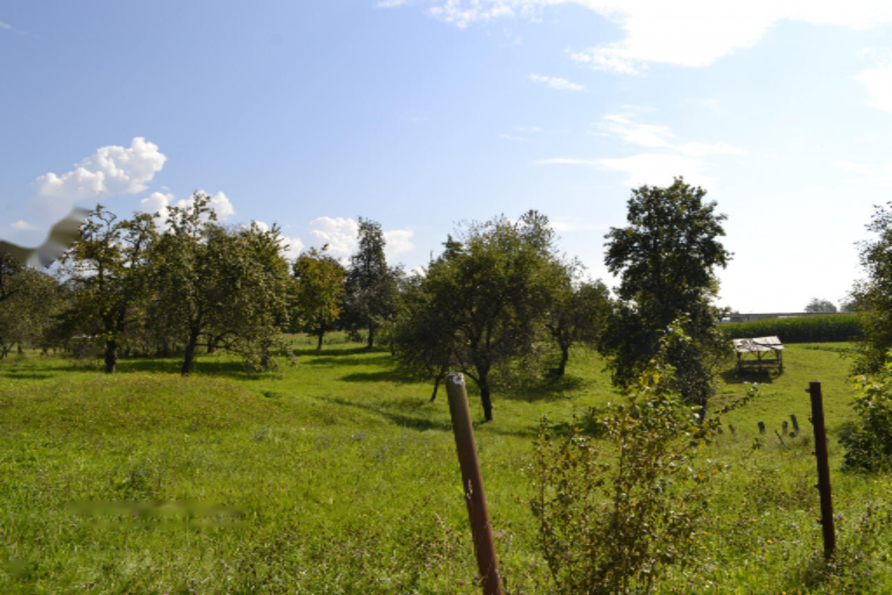 Terreno en Medvode, Eslovenia, 87 555 m² - imagen 8